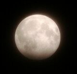 野田司氏撮影の半影月食の月