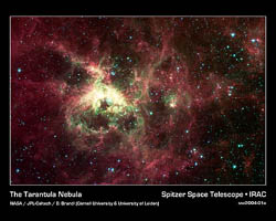 （タランチュラ星雲NGC 2070の画像）