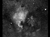 （NGC 7000付近の写真）
