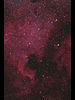 （NGC 7000 北アメリカ星雲の写真）