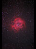 （NGC 2237 ばら星雲の写真）