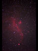 （IC 2177 わし星雲の写真）