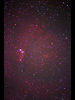 （NGC 2264付近の写真）