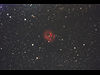 IC5146ʤޤˤμ̿