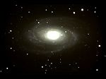 ʤ޺ M81μ̿