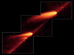 シュワスマン・ワハマン彗星の分裂核とダストトレイル