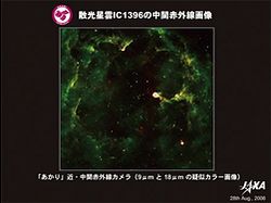 「あかり」によるケフェウス座の散光星雲IC 1396の赤外線画像