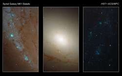 M81銀河の部分拡大画像