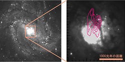 （右がM83の円盤部分の可視光画像、左は拡大図中に等高線によってHCN分子が出す電波の強さを示した画像）