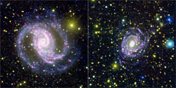 NGC 1566とNGC 6902の画像