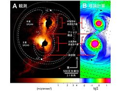 （すばる望遠鏡がとらえたSR24を取り巻く原始惑星系円盤の赤外線画像（左）とシミュレーションの結果（右））