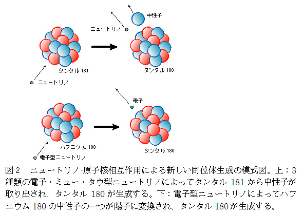 ローレンシウムの同位体