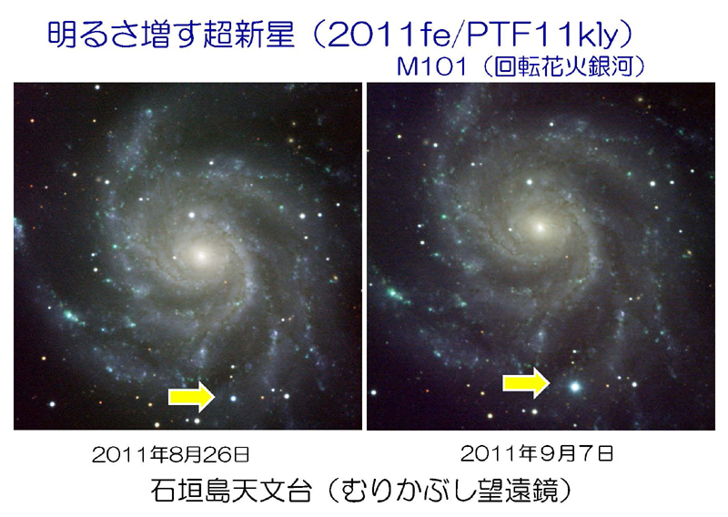 Ib・Ic型超新星