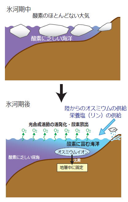 の 大気 酸素 中