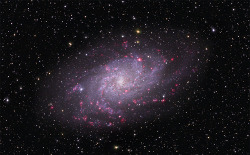 M33の画像