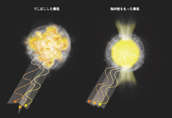 超新星爆発の形ごとに予測される偏光の向きの様子