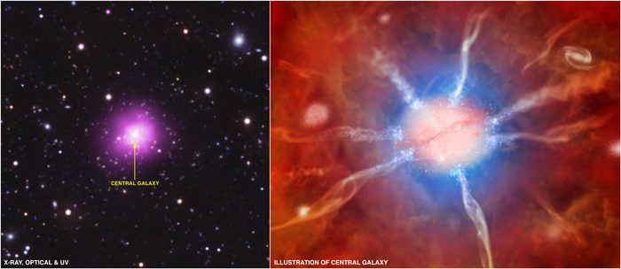 爆発的に星が生まれる巨大銀河団