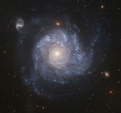 渦巻銀河の例