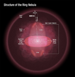 リング星雲の3次元構造