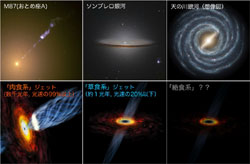 「肉食系」「草食系」「絶食系」の3タイプに分けられる銀河中心ブラックホール