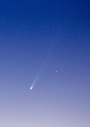 11月22日明け方のアイソン彗星