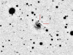 超新星2014ajの発見画像