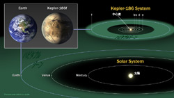 ケプラー186惑星系と太陽系