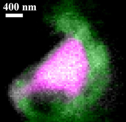 星間塵とみられる微粒子のX線画像