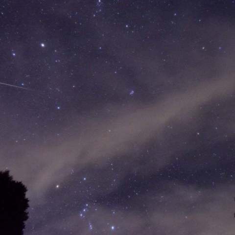 2015　おうし座流星群