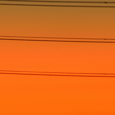 C/2024 G3 アトラス彗星（トリミングあり）