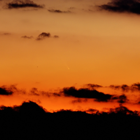 C/2024 G3 アトラス彗星（トリミングあり）