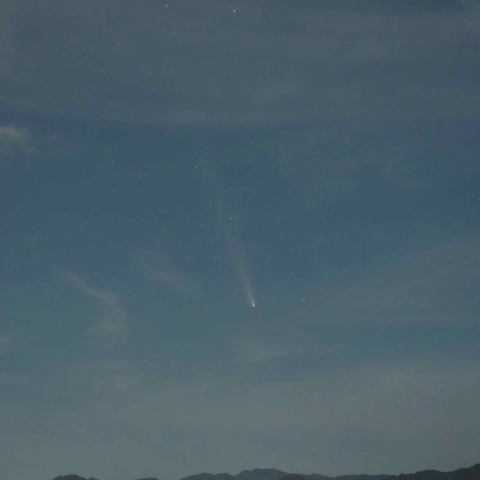 紫金山・アトラス彗星