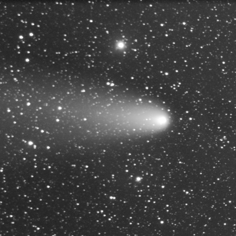 紫金山・アトラス彗星_2024年11月3日