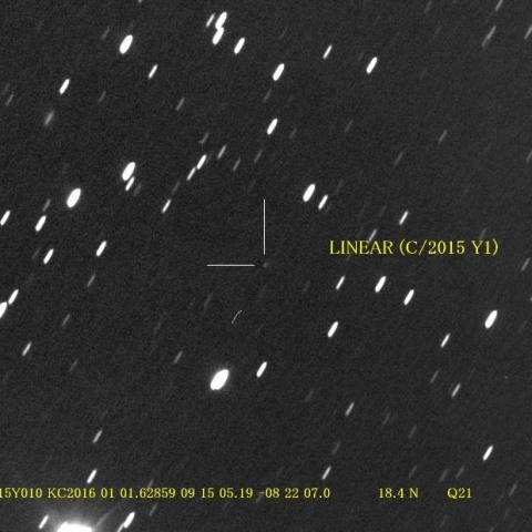 C/2015Y1 LINEAR
