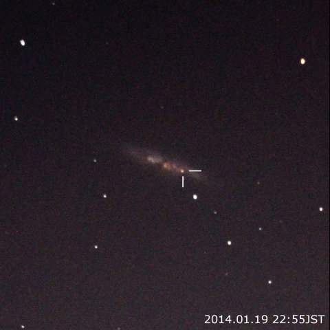 M82　超新星