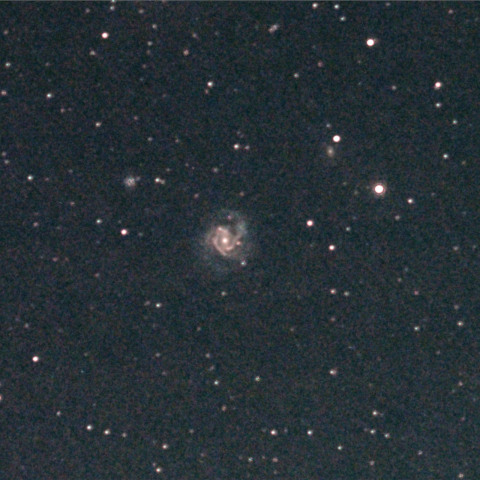 M61