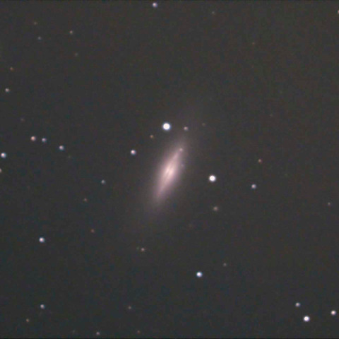 NGC5866(M102)