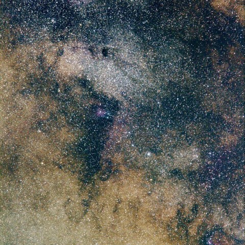 バンビの横顔　と　バンビの首飾り