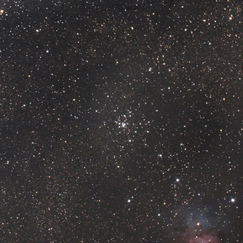 M21　いて座の散開星団