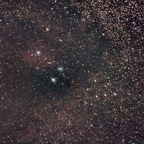 バンビの首飾り