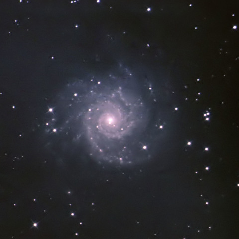 M74　うお座の渦巻銀河