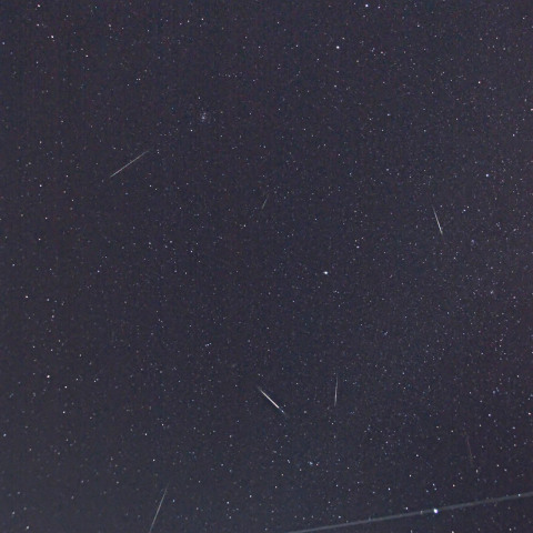 ふたご群とうみへび群の競演