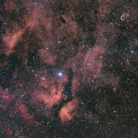IC1318 (γCYG付近)