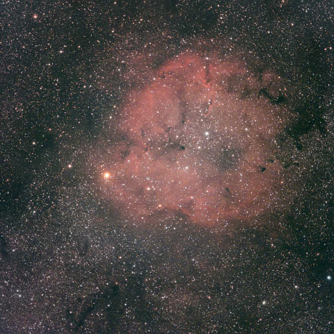 IC1396 (ガーネットスター付近)