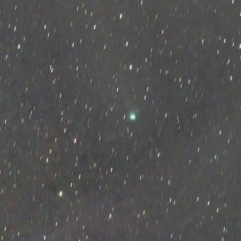 C/2018 V1　マックホルツ・藤川・岩本彗星