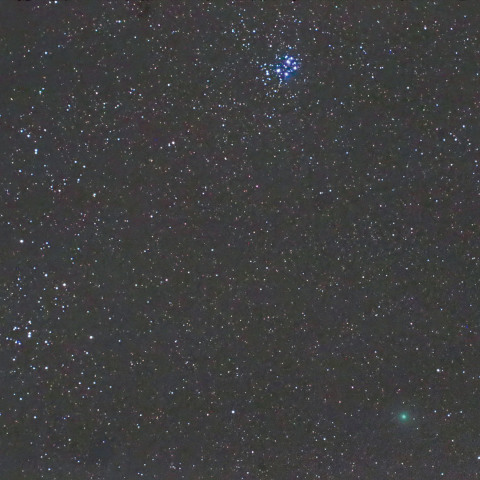 本日限定冬の小三角とふたご座群