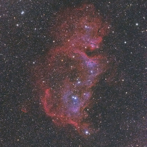 IC1848