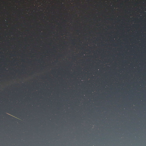 20190810のペルセウス座流星群