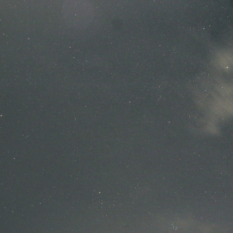 2019年しし座流星群