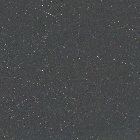 20200104早朝のしぶんぎ座流星群